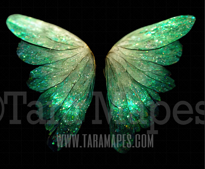 Fairy Wing Overlay - Fairy Wing Overlay - Green Digital Wings - Glitter Sparkles Fairy Wing - Digital Fairy Wings