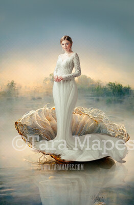 Clam Shell Digital Backdrop - Shell Digital Backdrop - Wedding, Newborn, Maternity, Mermaid -  Digital Background Backdrop
