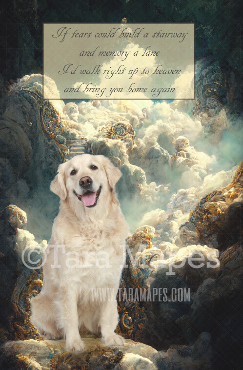 Pet Heaven Digital Backdrop - Rainbow Bridge - Pet Memorial - Dog Cat Heaven Digital Background / Backdrop