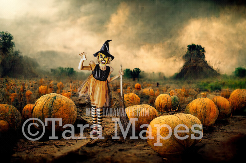 Halloween Digital Backdrop - Pumpkin Patch -  Fun Halloween Party - JPG File - Halloween Digital Background