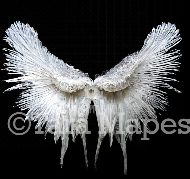 Angel Wings Overlay - White Angel Wings Overlay - White Feather Digital Wings -  Digital Angel Wings