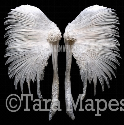 Angel Wings Overlay - White Angel Wings Overlay - White Feather Digital Wings -  Digital Angel Wings