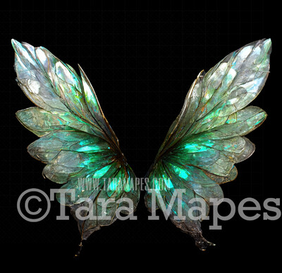 Fairy Wing Overlay - Fairy Wing Overlay - Digital Wings - Glitter Sparkles Fairy Wing - Digital Fairy Wings