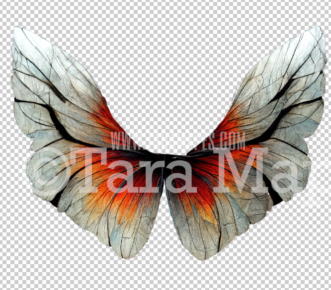 Butterfly Wing Overlay - Fairy Wing Overlay - Digital Wings - Butterfly Fairy Wing -  Digital Fairy Wings