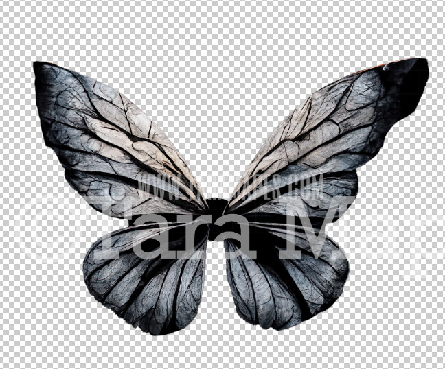 Butterfly Wing Overlay - Fairy Wing Overlay - Digital Wings - Butterfly Fairy Wing - Digital Fairy Wings