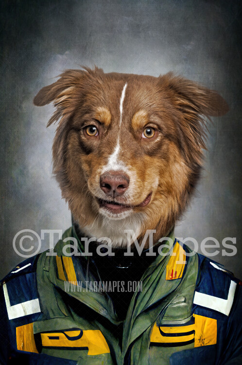 Pet Portrait Pilot Body PSD Template- Pet Painting Portrait Military Pilot Body  - Layered PSD Digital Background Backdrop