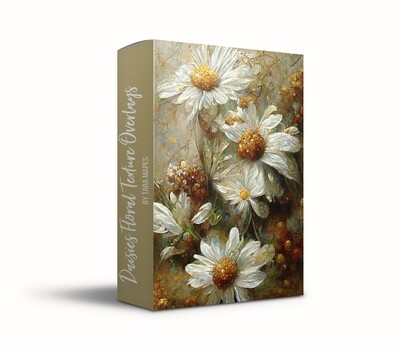 Daisies Floral Texture Overlays - Daisy Flower Fine Art Textures - Floral Fine Art Texture Overlays - 12 Digital Daisies Textures -  Photoshop Overlays by Tara Mapes