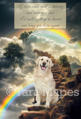 Pet Heaven Digital Backdrop - Rainbow Bridge - Pet Memorial - Dog Cat Heaven Digital Background / Backdrop