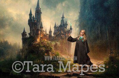 Wizard Castle Entrance Digital Backdrop - Wizard Castle Digital  - Wizard Digital Background
