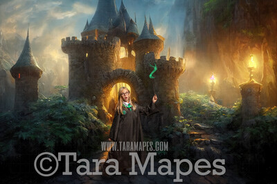 Wizard Castle Entrance Digital Backdrop - Wizard Castle Digital  - Wizard Digital Background