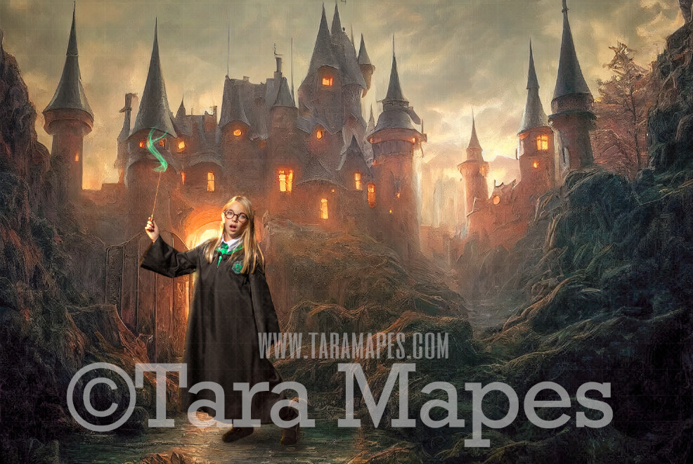 Wizard Castle Entrance Digital Backdrop - Wizard Castle Digital  - Wizard Digital Background