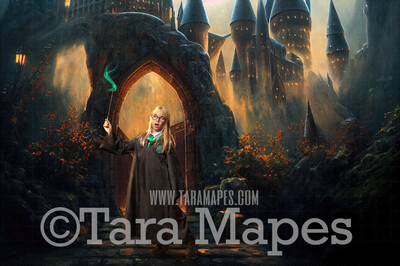 Wizard Castle Entrance Digital Backdrop - Wizard Castle Digital  - Wizard Digital Background