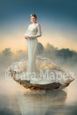 Clam Shell Digital Backdrop - Shell Digital Backdrop - Wedding, Newborn, Maternity, Mermaid -  Digital Background Backdrop