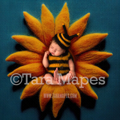 Needle Felted Sunflower Newborn Digital Backdrop - Needle Felt Flower Newborn Digital Background