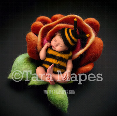 Needle Felted Rose Newborn Digital Backdrop - Needle Felt Flower Newborn Digital Background