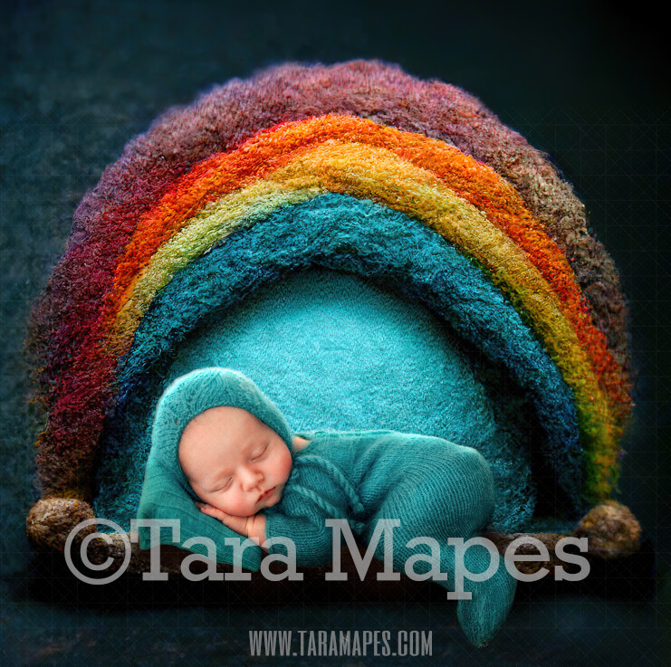 Needle Felted Rainbow Newborn Digital Backdrop - Needle Felt Rainbow Baby Newborn Digital Background