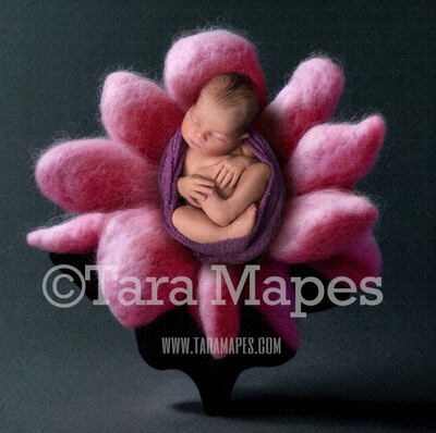 Needle Felted Pink Flower Newborn Digital Backdrop - Needle Felt Flower Newborn Digital Background