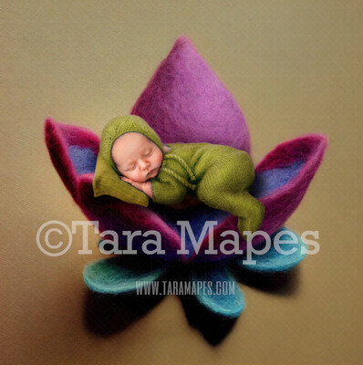 Needle Felted Lotus Newborn Digital Backdrop - Needle Felt Flower Newborn Digital Background