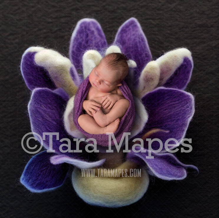 Needle Felted Iris Newborn Digital Backdrop - Needle Felt Purple Flower Newborn Digital Background
