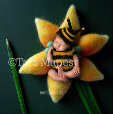 Needle Felted Yellow Daffodil Flower Newborn Digital Backdrop - Needle Felt Flower Newborn Digital Background