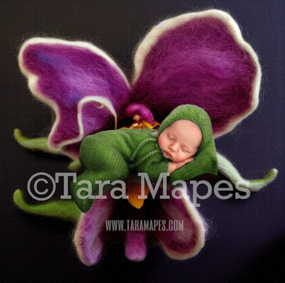 Needle Felted Orchid Flower Newborn Digital Backdrop - Needle Felt Flower Newborn Digital Background