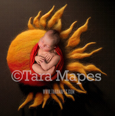 Needle Felted Sunshine Newborn Digital Backdrop - Needle Felt Sun Baby Newborn Digital Background