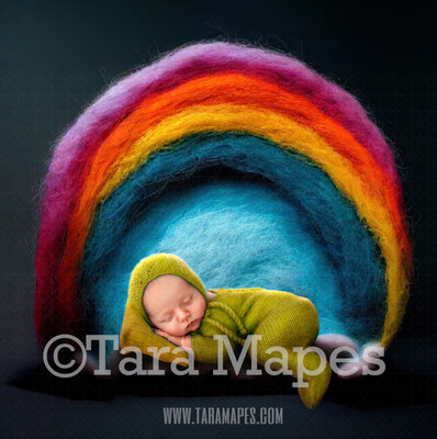 Needle Felted Rainbow Newborn Digital Backdrop - Needle Felt Rainbow Baby Newborn Digital Background