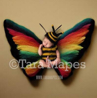Needle Felted Butterfly Newborn Digital Backdrop - Needle Felt Butterfly Baby Newborn Digital Background