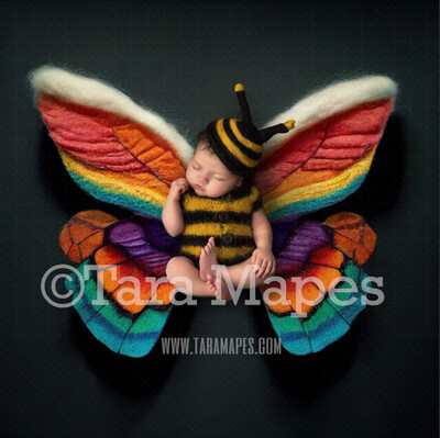 Needle Felted Butterfly Newborn Digital Backdrop - Needle Felt Butterfly Baby Newborn Digital Background