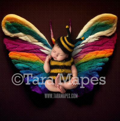Needle Felted Butterfly Newborn Digital Backdrop - Needle Felt Butterfly Baby Newborn Digital Background