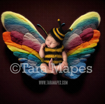 Needle Felted Butterfly Newborn Digital Backdrop - Needle Felt Butterfly Baby Newborn Digital Background