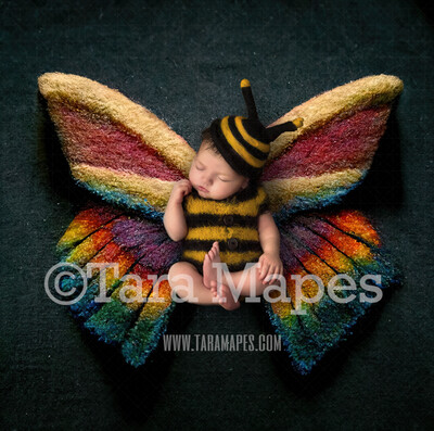 Needle Felted Butterfly Newborn Digital Backdrop - Needle Felt Butterfly Baby Newborn Digital Background