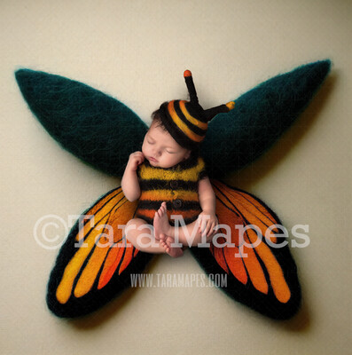 Needle Felted Butterfly Newborn Digital Backdrop - Needle Felt Butterfly Baby Newborn Digital Background