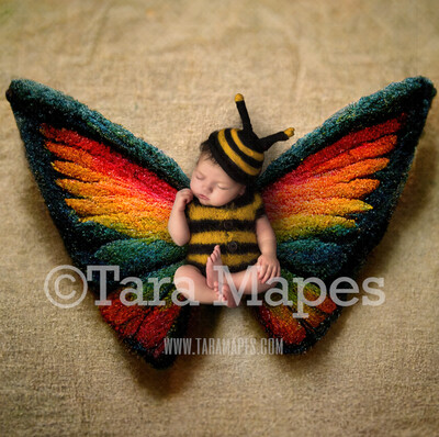 Needle Felted Butterfly Newborn Digital Backdrop - Needle Felt Butterfly Baby Newborn Digital Background