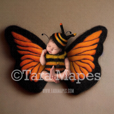 Needle Felted Butterfly Newborn Digital Backdrop - Needle Felt Butterfly Baby Newborn Digital Background