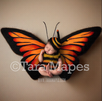 Needle Felted Butterfly Newborn Digital Backdrop - Needle Felt Butterfly Baby Newborn Digital Background