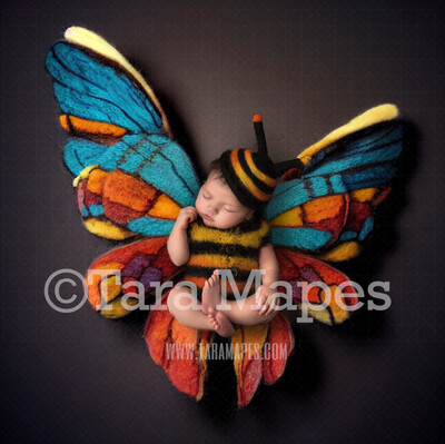 Needle Felted Butterfly Newborn Digital Backdrop - Needle Felt Butterfly Baby Newborn Digital Background