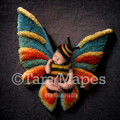 Needle Felted Butterfly Newborn Digital Backdrop - Needle Felt Butterfly Baby Newborn Digital Background
