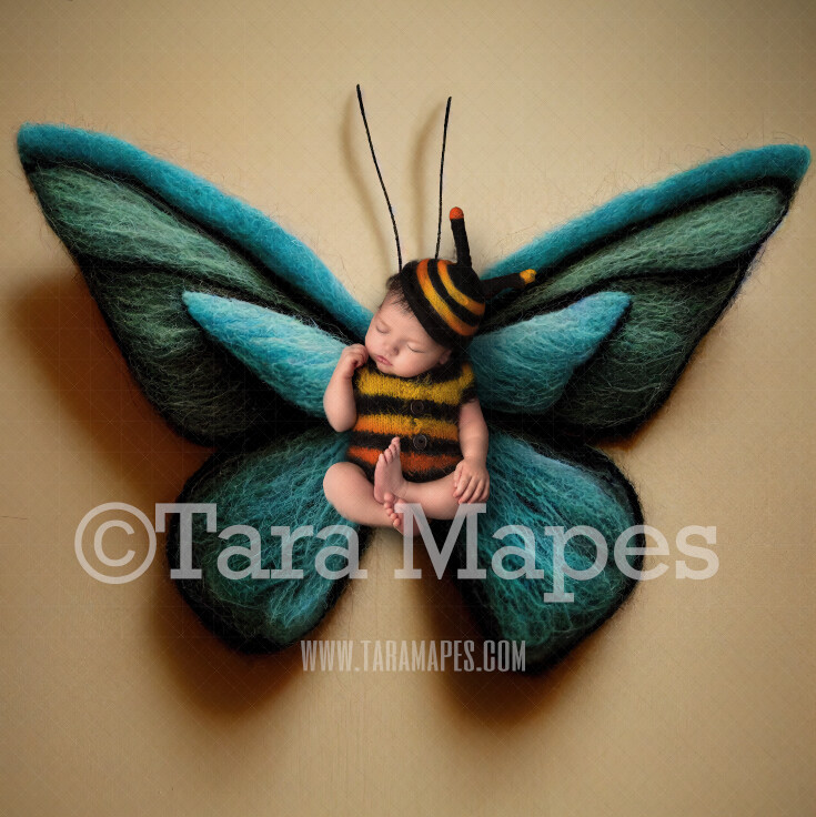 Needle Felted Butterfly Newborn Digital Backdrop - Needle Felt Butterfly Baby Newborn Digital Background
