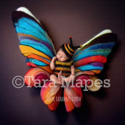 Needle Felted Butterfly Newborn Digital Backdrop - Needle Felt Butterfly Baby Newborn Digital Background