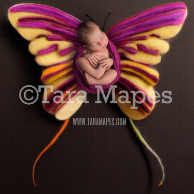 Needle Felted Butterfly Newborn Digital Backdrop - Needle Felt Butterfly Baby Newborn Digital Background