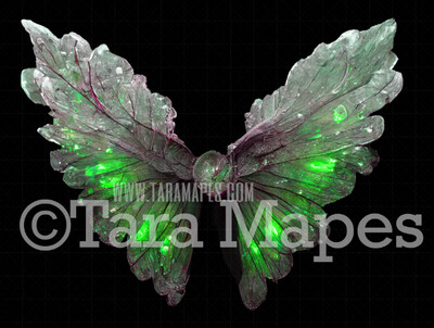 Fairy Wing Overlay - Fairy Wing Overlay - Digital Wings - Glitter Sparkles Fairy Wing - Digital Fairy Wings