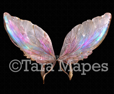 Fairy Wing Overlay - Fairy Wing Overlay - Digital Wings - Glitter Sparkles Fairy Wing - Digital Fairy Wings