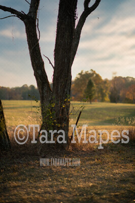 Tree Digital Background  - Old Tree by Country Farm Digital Background / Backdrop