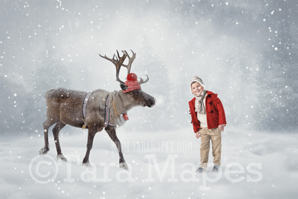 Reindeer Digital Backdrop - Reindeer wearing hat and scarf in Snow - Free Snow overlay - Christmas Holiday Digital Background Backdrop JPG