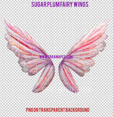 Sugar Plum Fairy Wing Overlay - Fairy Wing Overlay - Digital Candy Wings - Digital Fairy Wings