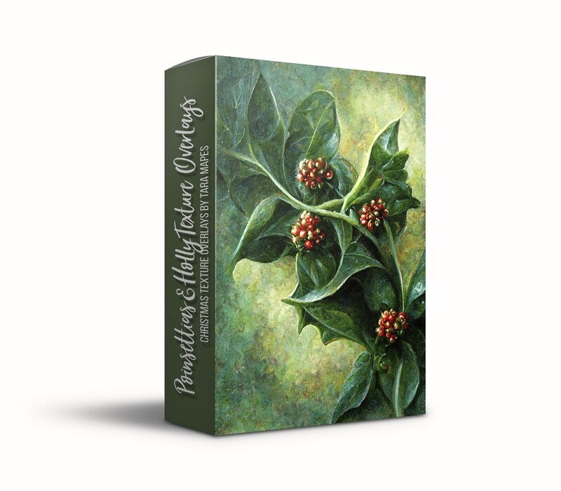 Poinsettia & Holly Texture Overlays - Christmas Fine Art Textures - Fine Art Texture Overlays - 15 Digital Textures -  Photoshop Overlays by Tara Mapes