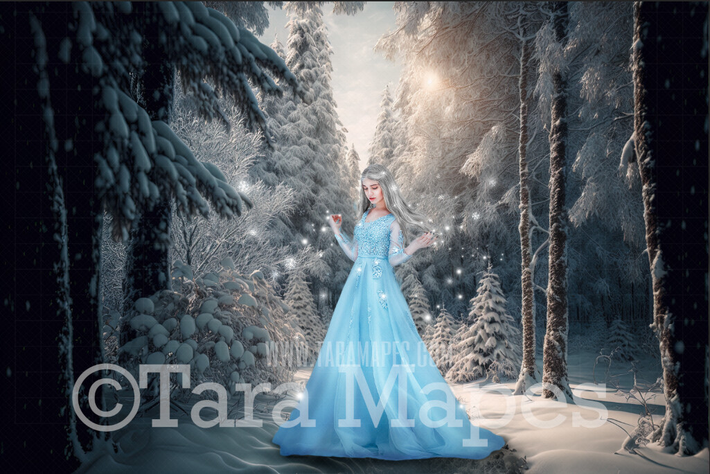 Winter Forest Digital Backdrop - Magical Winter Forest - Winter Wonderland Digital Backdrop