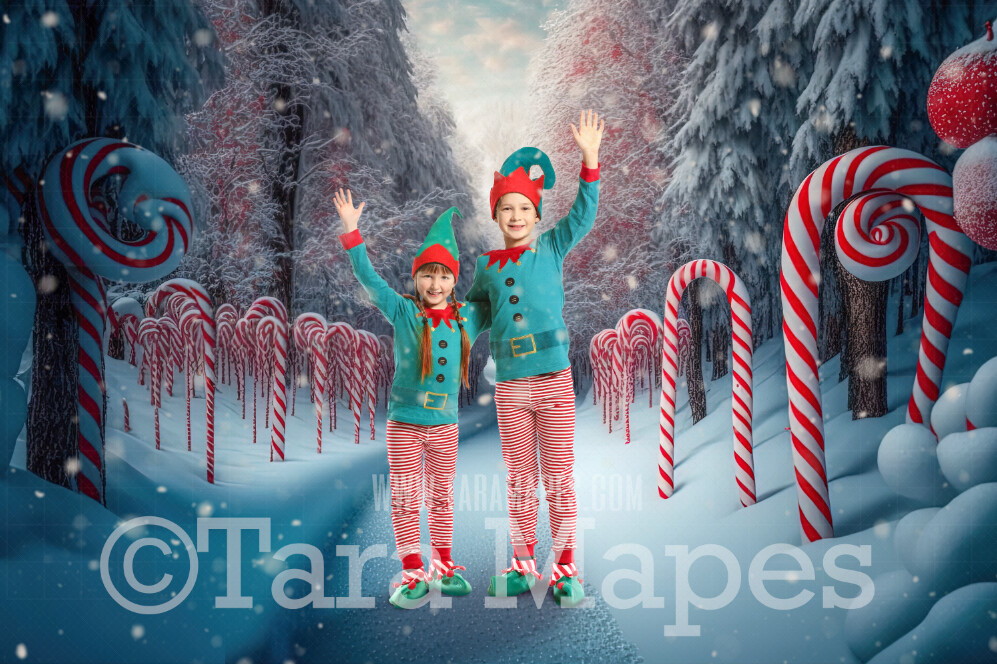 Candy Cane Forest Digital Backdrop - Peppermint Candy Forest - Candy Cane Land -  Christmas Digital Background