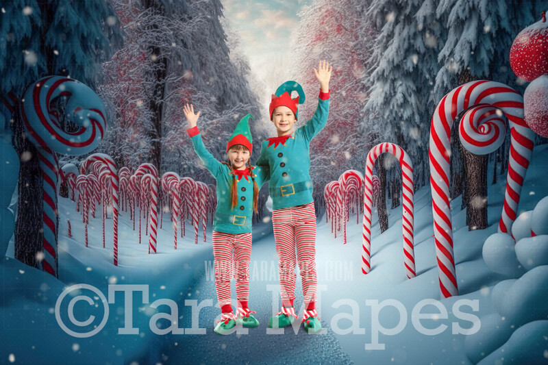 Candy Cane Forest Digital Backdrop - Peppermint Candy Forest - Candy Cane Land -  Christmas Digital Background